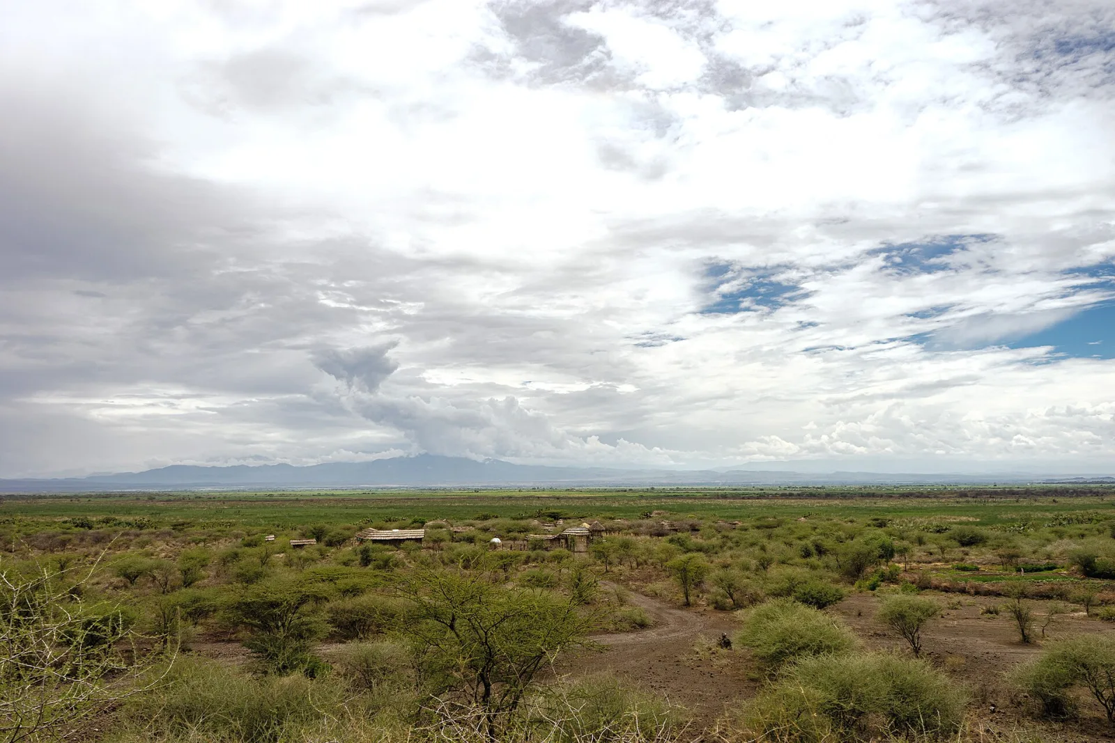 Dry grassland and volcanic country in Awash National Park