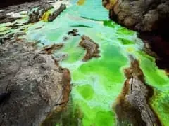 Bright green geothermal pools between dark rocks at Dallol