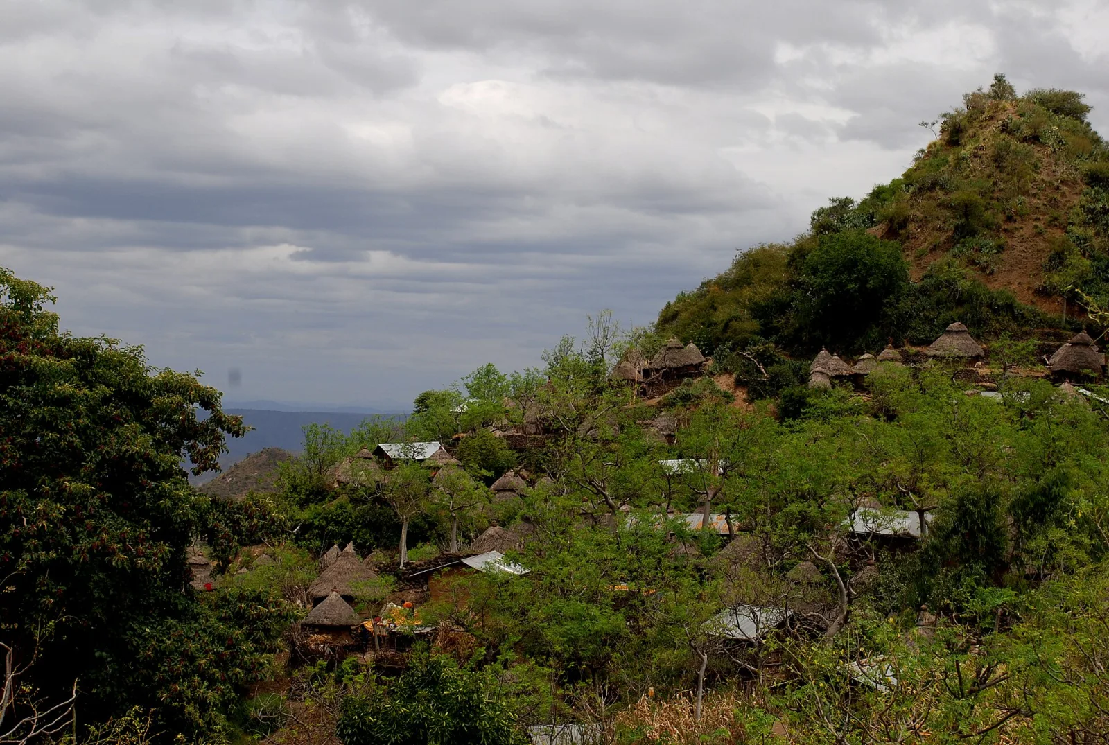 Traditional Konso village arranged across a green hillside